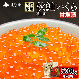 yӂ邳Ɣ[Łz嗱Igp H ÉЂ 500g CN  CN  CN  H ÉЂ  ֗ 500g kC Y Yn  lC   t  