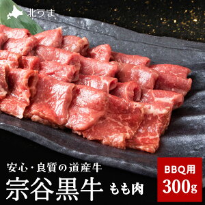 yӂ邳Ɣ[ŁzytuhFz@J BBQp(300g)     Ⓚ Mtg v[g 蕨  yzsnFEꌧz