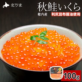 【ふるさと納税】【宗谷海峡産】秋鮭いくら醤油漬け100g いくら イクラ 魚卵 海鮮 魚介 秋鮭 醤油漬け 鮭 小分け 便利 100g 北海道 国産 産地直送 送料無料 人気 お取り寄せ おすすめ 天然 贈答 ギフト 【配送不可地域：離島・沖縄県】