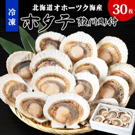 【ふるさと納税】【北海道オホーツク海産】ホタテ殻(片貝)付き冷凍(30枚)ほたて ホタテ 帆立 片貝 貝付き 海鮮 海産物 北海道ふるさと納税 稚内 ふるさと納税 北海道 【配送不可地域：離島・沖縄県】