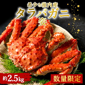 yӂ邳Ɣ[ŁztY {C΂Ɏp 2.5kg΂ ^oKj ΊI ΃Kj ^o ΃Jj I Jj {C^o kCӂ邳Ɣ[ t ӂ邳Ɣ[ k