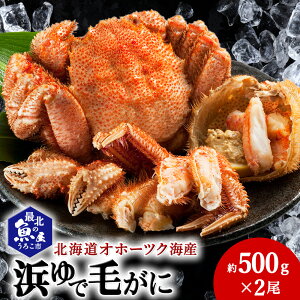 yӂ邳Ɣ[ŁzkCIz[cNCY lŖт 500g×2{C т уKj ъI {C I Jj kCӂ邳Ɣ[ t ӂ邳Ɣ[ kC yzsnFz