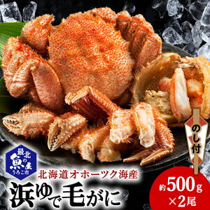 yӂ邳Ɣ[ŁzŷtzkCIz[cNCY lŖт 500g×2{C т уKj ъI {C I Jj kCӂ邳Ɣ[ t ӂ邳Ɣ[ kC yzsnF