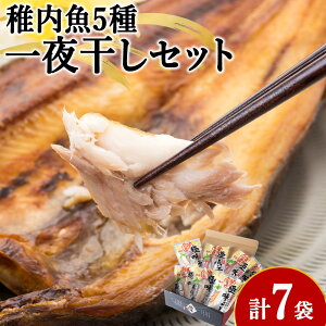 yӂ邳Ɣ[Łzt5銱Zbg(ɖ)@JC Ȃ߂ JC Ԃꂢ ق zbP ɂ  銱  kCӂ邳Ɣ[ t ӂ邳Ɣ[ kC yzsn