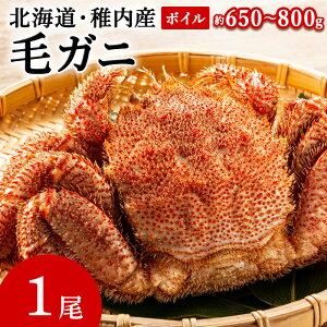 yӂ邳Ɣ[Łzy2025z{CуKj1650g`800g Jj  уKj т CN  kC t ts ӂ邳 lC yzsnFEꌧz
