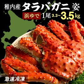 【ふるさと納税】タラバガニ姿（3.3kg~3.5kg）1尾浜ゆで たらばがに タラバガニ たらば蟹 たらばガニ タラバかに たらばカニ 蟹 カニ ボイルタラバ 北海道ふるさと納税 稚内 ふるさと納税 北海道 【配送不可地域：離島・沖縄県】