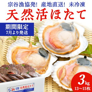 yӂ邳Ɣ[Łzys\z@J!Yn!قĖ3kg(13`15)hg CN ق  z^e z^eL L L CN  kC ts t lC ӂ邳 yzsn
