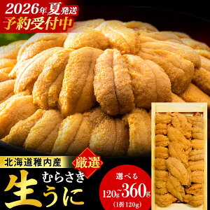 yӂ邳Ɣ[Łzy2026N s\zyIPREMIUMzEj͍z̖Ynɂ!ނ炳 Iׂ1`3pbN 1pbN120gTLEj  ނ炳  CN CY 