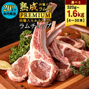 �y�ӂ邳�Ɣ[�Łz�I�ׂ�e�ʁy�t���̓��E�l�z�����݂����PREMIUM �����`���b�v ���� �o�[�x�L���[ BBQ ���� ������ �����`���b�v �� ���� �r�� �ē� �k�C�� �t���s �t�� �ӂ邳�� �l�C�y�z��