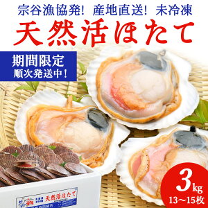 yӂ邳Ɣ[Łz@J!Yn!قĖ3kg(13`15)hg CN ق  z^e z^eL L L CN  kC ts t lC ӂ邳 yzsnFE