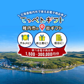 【ふるさと納税】稚内市e街ギフト 選べるクーポン1,500円分～300,000円分 有効期限 取得後365日北海道ふるさと納税 稚内 ふるさと納税 飲食 宿泊 施設利用 チケット 利用券