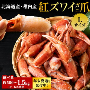yӂ邳Ɣ[Łz12s\ tY gYCKj nT~  LTCY Iׂ500g`1.5kg 𓀂邾̎Ԃ炸g킢 YCKj gYCI ɒ CN CY k