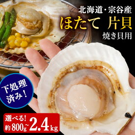 【ふるさと納税】【焼き貝用】2025年製造 宗谷産ホタテ貝 した処理済み片貝付き 選べる1〜3袋（約800g〜2.4kg） 1袋8枚前後(約800g)ほたて ホタテ 帆立 片貝 貝付き 海鮮 海産物 北海道ふるさと納税 【配送不可地域：離島・沖縄県】