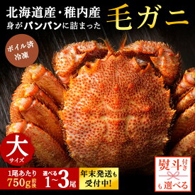 【ふるさと納税】☆12月発送＊先行予約☆ 【内熨斗付】【ボイル済み急速冷凍】身がぎっしりと詰まった毛ガニ 選べる1尾〜3尾 1尾750g前後ボイル 毛がに 毛ガニ 毛蟹 ボイル 蟹 カニ 海鮮 北海道ふるさと納税 稚内 ふるさと納税 北海道 【配送不可地域：離島・沖縄県】