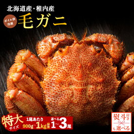 【ふるさと納税】【内熨斗付】【ボイル済み急速冷凍】身がパンパンに詰まった稚内産毛ガニ 選べる1尾〜3尾 1尾900g〜1kgボイル 毛がに 毛ガニ 毛蟹 ボイル 蟹 カニ 北海道ふるさと納税 稚内 【配送不可地域：離島・沖縄県】