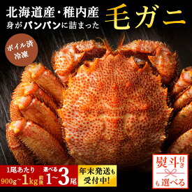 【ふるさと納税】☆12月発送＊先行予約☆ 【内熨斗付】【ボイル済み急速冷凍】身がパンパンに詰まった稚内産毛ガニ 選べる1尾〜3尾 1尾900g〜1kgボイル 毛がに 毛ガニ 毛蟹 ボイル 蟹 カニ 北海道ふるさと納税 稚内 ふるさと納税 北海道 【配送不可地域：離島・沖縄県】