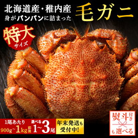 【ふるさと納税】☆12月発送＊先行予約☆ 【内熨斗付】【ボイル済み急速冷凍】身がパンパンに詰まった稚内産毛ガニ 選べる1尾〜3尾 1尾900g〜1kgボイル 毛がに 毛ガニ 毛蟹 ボイル 蟹 カニ 北海道ふるさと納税 稚内 ふるさと納税 北海道 【配送不可地域：離島・沖縄県】