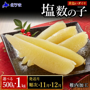 yӂ邳Ɣ[ŁzyF_Cz ͂upbv͍̏ ̎q Iׂ500g`1kg 1pbN500ĝ JYmR ̎q ̎q  CN CY kCӂ邳Ɣ[ t yz