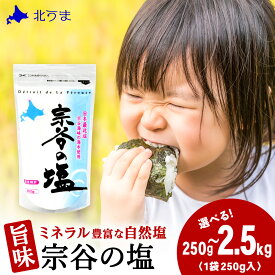 【ふるさと納税】宗谷の塩 選べる250g〜2.5kg 1袋250g宗谷の塩 しお 塩 ミネラル にがり 自然塩 ナチュラル 調味料 北海道ふるさと納税 稚内 【配送不可地域：離島・沖縄県】