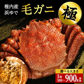【ふるさと納税】【稚内産・極】 浜ゆで毛ガニ(堅蟹) 1尾 選べるサイズ500g〜900gボイル 毛がに 毛ガニ 毛蟹 ボイル 蟹 カニ 海鮮 海産物 北海道ふるさと納税 稚内 ふるさと納税 北海道