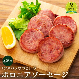 【ふるさと納税】アスパラひつじのボロニアソーセージ | 羊肉 ソーセージ 肉料理 惣菜 加工肉 北海道ふるさと納税 美唄 ふるさと納税 北海道