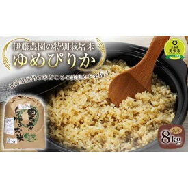 【ふるさと納税】【令和5年産】伊藤農園の特別栽培米ゆめぴりか 玄米（8kg） | お米 こめ 食品 人気 おすすめ 送料無料