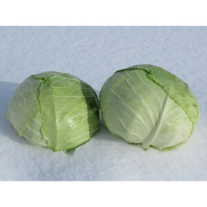 yӂ邳Ɣ[Łzys\zyʌzkCỶLxc2