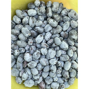 yӂ邳Ɣ[ŁzAeiVbvPiPaZNg SỸnXJbv1.0kgi500g×2j