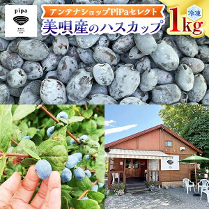 【ふるさと納税】アンテナショップPiPaセレクト 美唄産のハスカップ1.0kg(500g×2)
