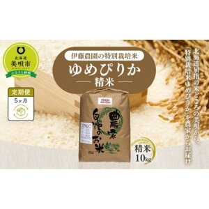 yӂ邳Ɣ[Łzyߘa7NYzɓ_̓ʍ͔|Ă߂҂肩@āi10kgjy5z