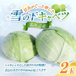 �y�ӂ邳�Ɣ[�Łz�y��s�\��z�y���ʌ���z�k�C���Y��̉��L���x�c2��