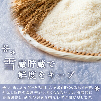 【ふるさと納税】【12か月定期便】特A厳選米雪蔵工房ななつぼし5kg×12回お米北海道米ななつぼし北海道産北海道ふるさと納税美唄ふるさと納税北海道【配送不可地域:沖縄・離島】