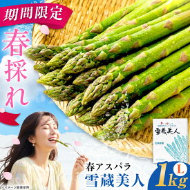 【ふるさと納税】雪蔵美人 グリーンアスパラ Lサイズ 1kg | アスパラ グリーンアスパラ アスパラガス 北海道 春野菜 あすぱら あすぱらがす 春採り 新鮮 美唄市 道産 道産野菜 北海道産 期間限定 | JAびばい[BOCC003]