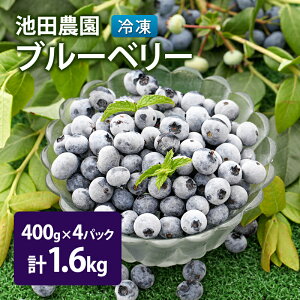 yӂ邳Ɣ[ŁzⓀ u[x[ 1.6kg (400g×4pbN) kCY t[c ʕ {̃t[c {̉ʕ  kC ʎs