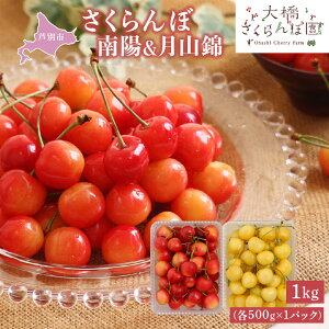 �y�ӂ邳�Ɣ[�Łz�������� ��s��t ��z ���R�� 1kg �e500g×1�p�b�N �勴�������ډ� �T�N�����{ �`�F���[ �ʕ� �ʕ��� �t���[�c �f�U�[�g �ō��� ���F �嗱 �Â� ����₩�Ȏ_�� �k�C�� 