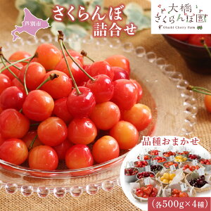 �y�ӂ邳�Ɣ[�Łz�������� ��s��t 4�� 500g �i�킨�C�� �Z�b�g �l�ߍ��킹 �勴�������ډ� �T�N�����{ �`�F���[ �ʕ� �ʕ��� �t���[�c �f�U�[�g ���n �Â� �k�C�� ���ʎs�@���͂��F2026