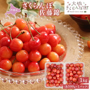 �y�ӂ邳�Ɣ[�Łz�������� ��s��t ������ 1kg (500g×2�p�b�N) �`�F���[ �t���[�c �ʕ� �{�̃t���[�c �{�̉ʕ� �������� �k�C�� ���ʎs�@���͂��F2026�N7����{���`