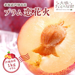 �y�ӂ邳�Ɣ[�Łz��s�\�� �v���� ���ԉ� 1kg �t���[�c �ʕ� �������� �{�̃t���[�c �{�̉ʕ� �G�߂̃t���[�c �G�߂̉ʕ� �k�C�� ���ʎs�@���͂��F2026�N9�����{���`