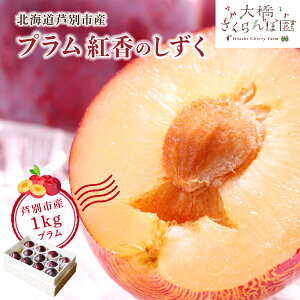 �y�ӂ邳�Ɣ[�Łz�v���� ��s��t �g���̂����� 1kg �k�C���Y ������ �t���[�c �ʕ� �{�̃t���[�c �{�̉ʕ� �������� �k�C�� ���ʎs�@���͂��F2026�N9�����{���`