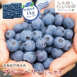 �y�ӂ邳�Ɣ[�Łz��s��t �u���[�x���[ �~�b�N�X 1kg �① �ʕ� �������� �t���[�c �{�̉ʕ� �{�̃t���[�c 8�i�� �~�b�N�X�u���[�x���[ �嗱 ���� �k�C�� ���ʎs�@���͂��F2026�N8�����{���`