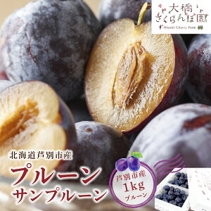 yӂ邳Ɣ[Łzv[ kC Tv[ 1kg 勴ډ  t[c ʕ H { {̃t[c {̉ʕ   Yn fU[g   v ① 