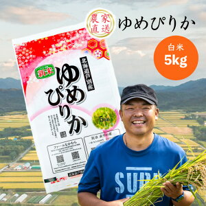 yӂ邳Ɣ[Łz ߘa7NY ߂҂肩 5kg   _ƒ    R Pꌴ uh A A kC kCY߂҂肩 kCY  ͂ kC ʎs