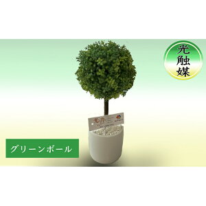 yӂ邳Ɣ[ŁzG}  O[{[ 25cm ϗtA tFCNO[ R  L  A CeA  tFCN  lHϗtA A[gO[ kC ʎs