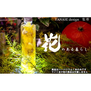 yӂ邳Ɣ[Łzn[oE yellow ԋG YANASEdesign.  n[oEIC r IC   킢 Vv CeA  u kC ʎs