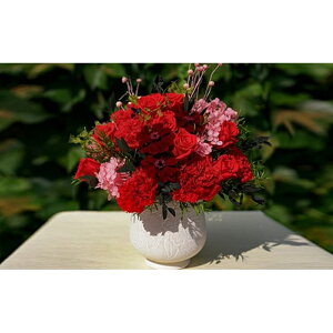 yӂ邳Ɣ[ŁzvU[uht[ Calm red ԋG YANASE design.  ANP[X uU[ht[ hCt[   킢 Vv CeA   u kC 