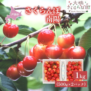 �y�ӂ邳�Ɣ[�Łz�y��s��t�z�������� ��z1kg�i500g×2�p�b�N�j���� �T�N�����{ �k�C�� ���ʎY �� 3L �ʕ��� �t���[�c �`�F���[ �@���͂��F2026�N7�����{���`