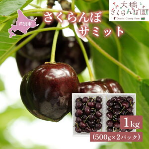 �y�ӂ邳�Ɣ[�Łz�������� ��s��t �T�~�b�g 1kg 500g×2�p�b�N �_�ѐ��Y��b�� ��� �T�N�����{ �`�F���[ �ʕ� �ʕ��� �t���[�c �f�U�[�g �嗱 ���� �� �k�C�� ���ʎs�@���͂��F2026�N7��