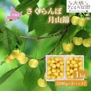 �y�ӂ邳�Ɣ[�Łz�������� ��s��t ���R�� 1kg 500g×2�p�b�N �_�ѐ��Y��b�� ��� �T�N�����{ �`�F���[ �ʕ� �ʕ��� �t���[�c �f�U�[�g �ō��� ���F �嗱 �Â� �_�������Ȃ� �������ڂ̏�