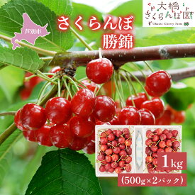 【ふるさと納税】【 先行受付 】さくらんぼ 勝錦1kg（500g×2パック）サクランボ 赤 大橋 オリジナル 希少 果物類 フルーツ チェリー 　お届け：2026年7月下旬頃～