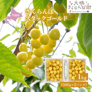 �y�ӂ邳�Ɣ[�Łz�y��s��t�z�������� �X�^�b�N�S�[���h1kg�i500g×2�p�b�N�j�T�N�����{ �� �勴 ���� �� �ʕ��� �t���[�c �`�F���[ �@���͂��F2026�N8����{���`